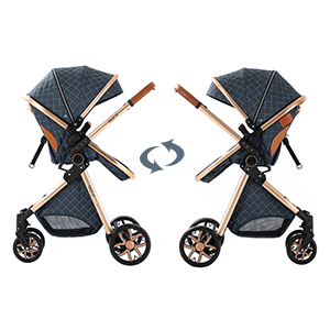 2-in-1 Baby Stroller Compact L - Lightweight Foldable Baby Stroller Compact 评论和价格