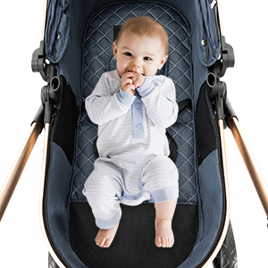 2-in-1 Baby Stroller Compact L - Lightweight Foldable Baby Stroller Compact 评论和价格